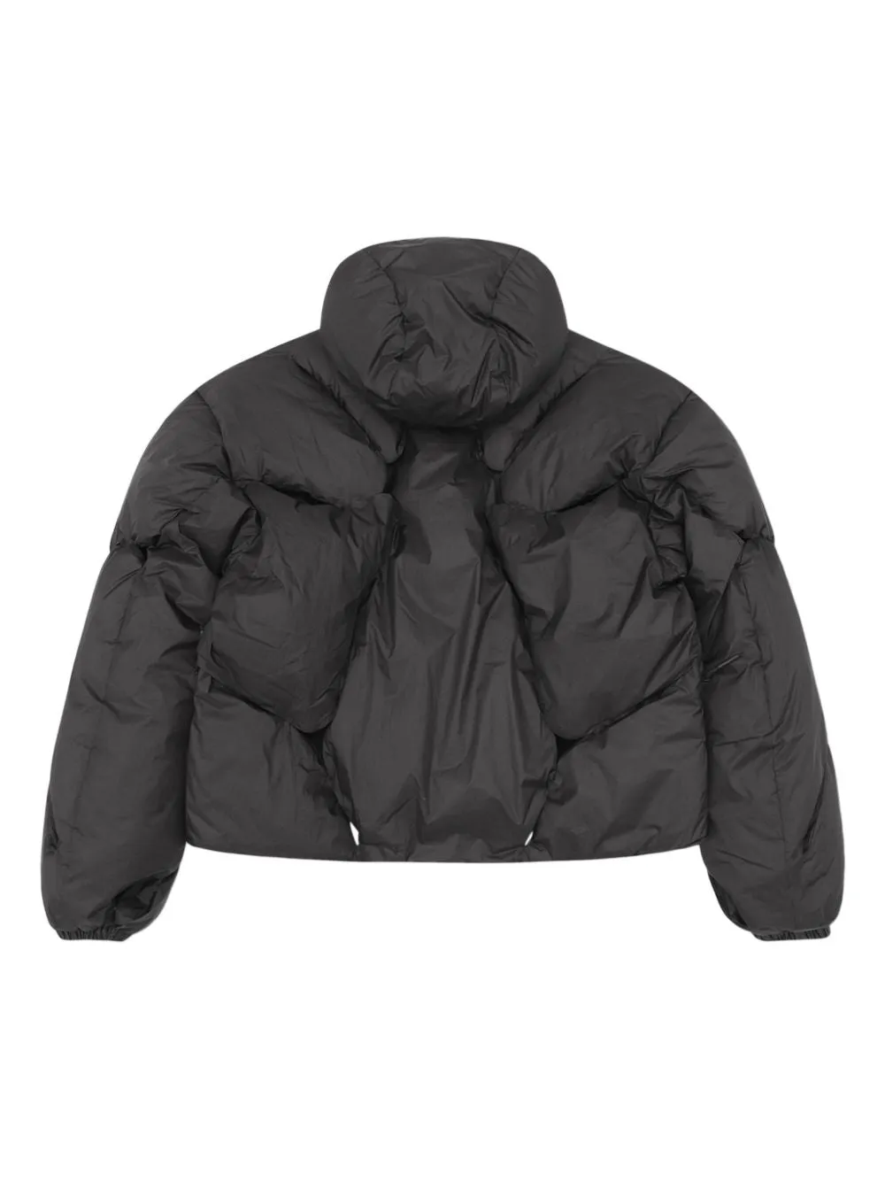 Amnis Jacket